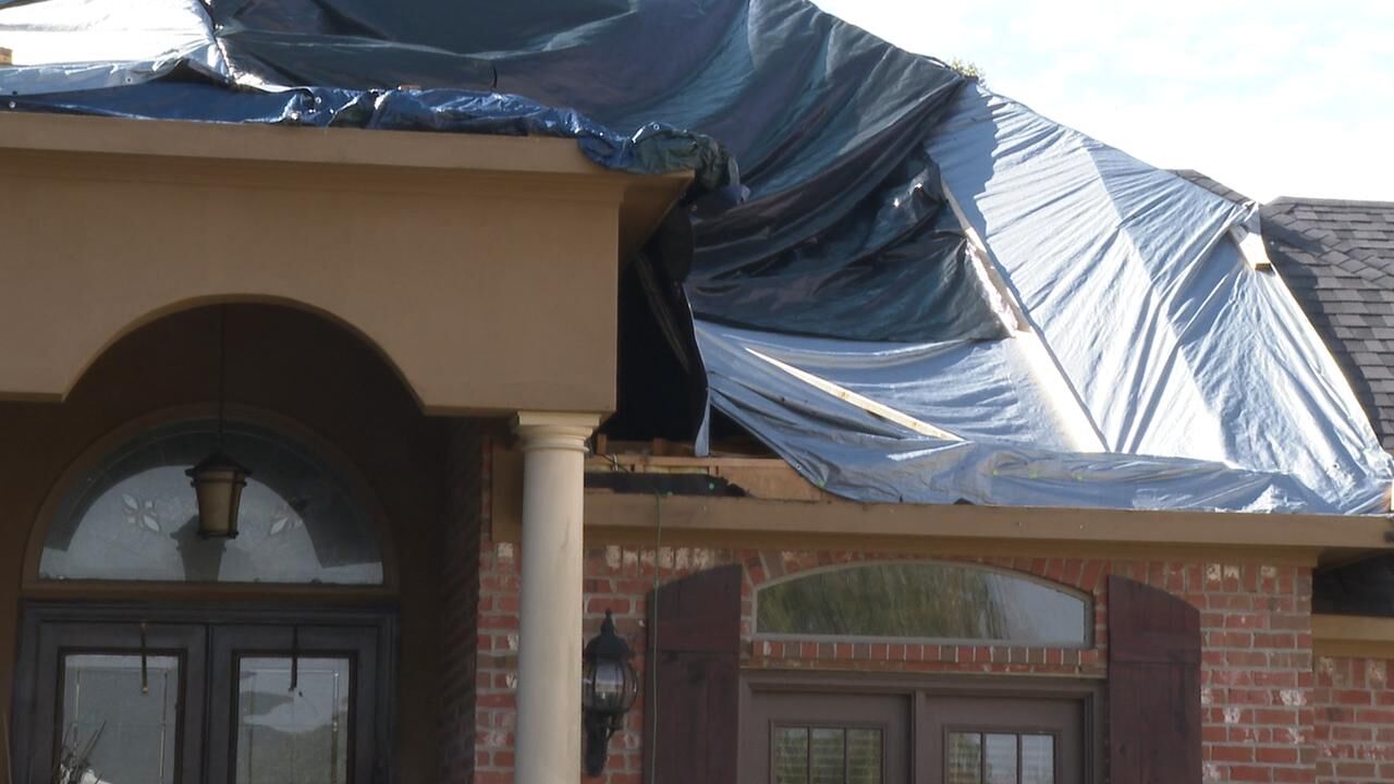 closeup exterior bossier